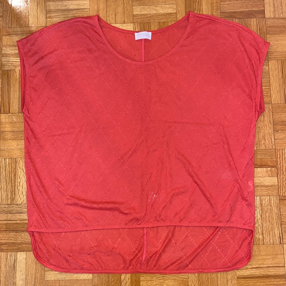 Oversized Zara t shirt